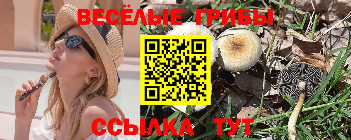 Псилоцибиновые грибы MAGIC MUSHROOMS Белореченск